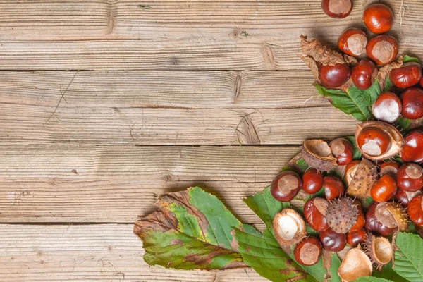 Chestnuts on a table — Stock Photo, Image