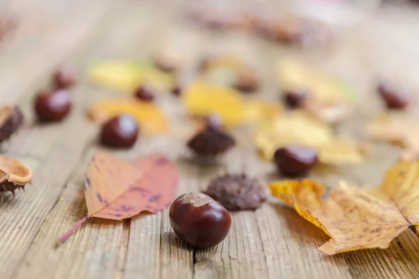 Chestnuts on a table — Stock Photo, Image