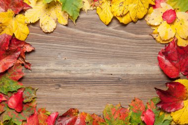 Masaya sonbahar yaprakları