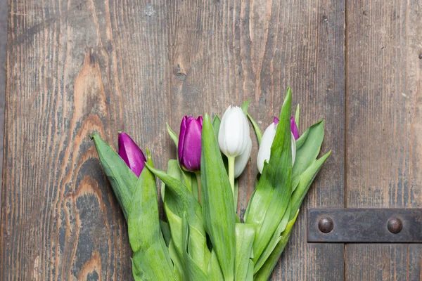 Bílá a fialová tulipány na truhlu — Stock fotografie
