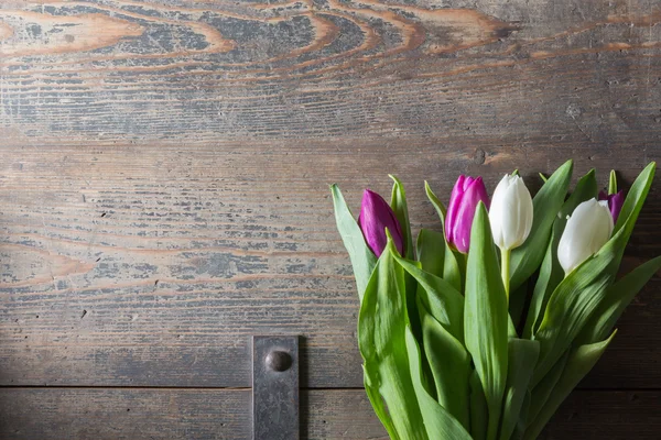 Bílá a fialová tulipány na truhlu — Stock fotografie