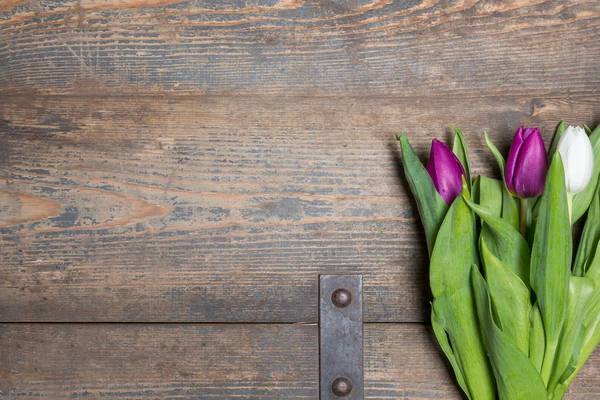 Bílá a fialová tulipány na truhlu — Stock fotografie