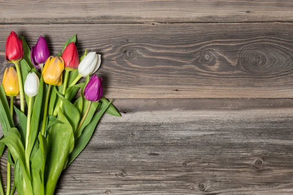 Barevné tulipány na dřevěné pozadí — Stock fotografie