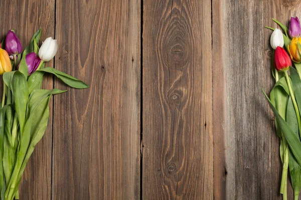 Barevné tulipány na dřevěné pozadí — Stock fotografie