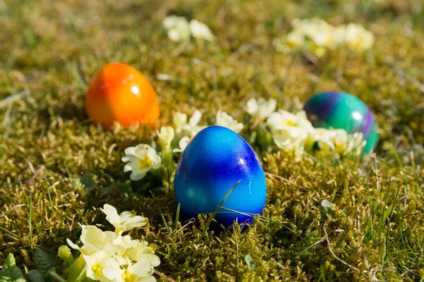 Huevos de Pascua en la hierba —  Fotos de Stock