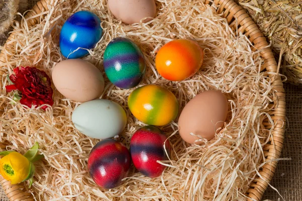 Chicks met Pasen eieren in een Pasen nesten. — Stockfoto