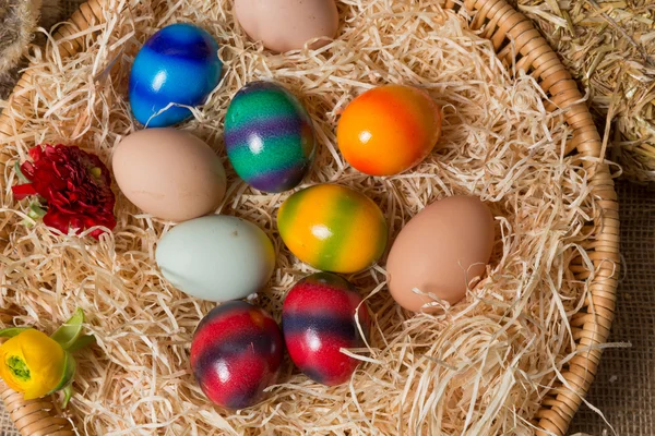 Chicks with easter eggs in a easter nest. — Stock Photo, Image