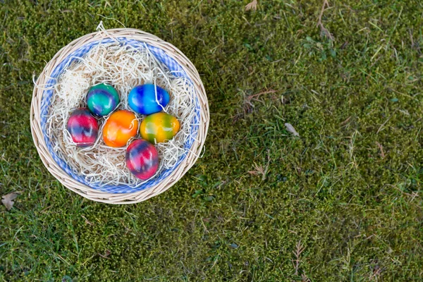 Huevos de Pascua en la hierba —  Fotos de Stock