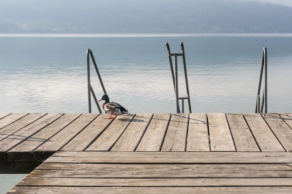 Sabahlar içinde Attersee Gölü — Stok fotoğraf