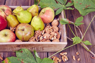 elma ve armut bir tablo