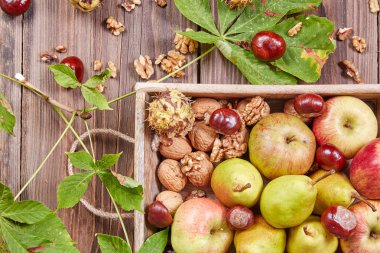 elma ve armut bir tablo