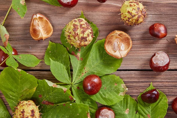 Castanhas em uma mesa — Fotografia de Stock