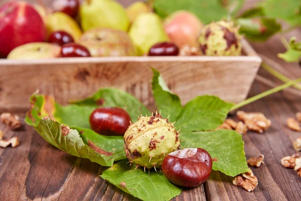 Manzanas y peras sobre una mesa — Foto de Stock