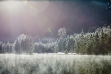 Göl Offensee yukarıda sis bir güneşli kış gününde
