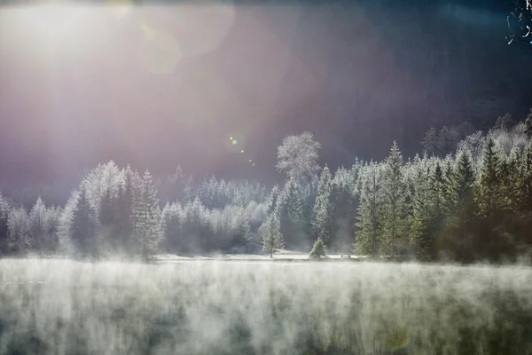 Dimma över sjön Offensee på en solig vinterdag — Stockfoto