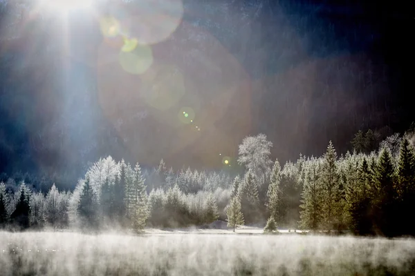 맑은 겨울 날에 호수 Offensee 위에 안개 — 스톡 사진