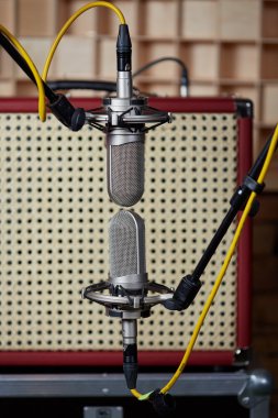 Vintage amp and two microphones in front of it
