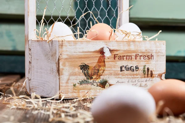 Taze çiftlik yumurtaları mezarda — Stok fotoğraf
