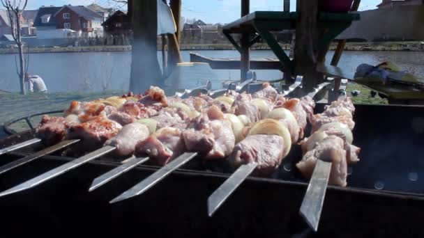 Les gens sur le pique-nique font cuire la viande sur le barbecue. Kebabs . — Video