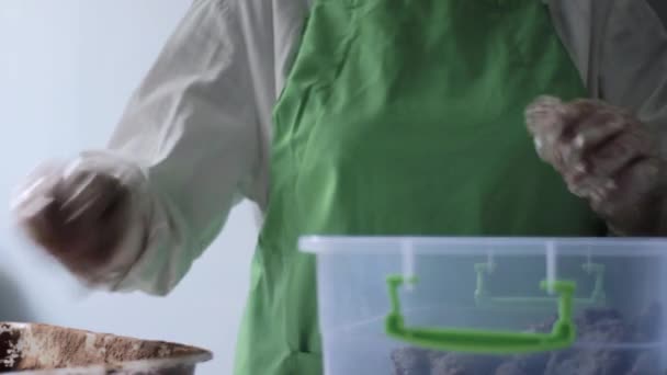 Restaurante Chocolate. Mujer Chef hace bolas de chocolate. Pastelería Preparación de Chocolates . — Vídeos de Stock
