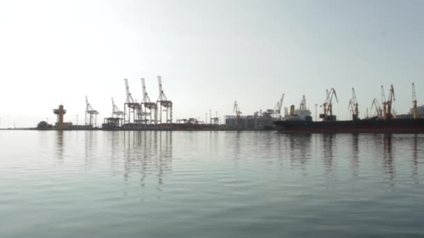 Grúas de carga en el puerto marítimo  . — Vídeo de stock