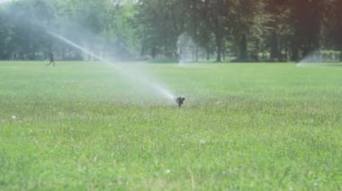 bir golf sahası üzerinde çim sulama