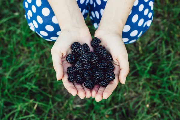 The Girl is Holding blackberry . — Stock Photo, Image