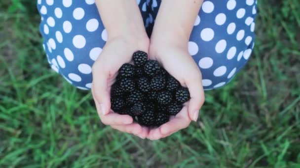 The Girl is Holding blackberry . — Stock Video