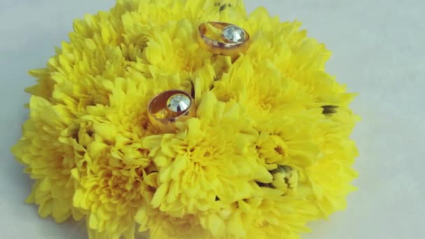Los anillos de boda se encuentran en hermosas flores. Hermosas flores amarillas . — Vídeos de Stock