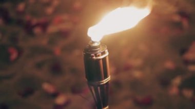 Meşale sahilde yanıyor. Gül yapraklarıyla kaplı plaj. Romantizm.