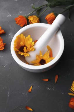 Takvim çiçekleri, beyaz havan ve tokmak gri arkaplanda izole edilmiş..