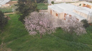 Akdeniz 'e yakın güzel Malta Valletta