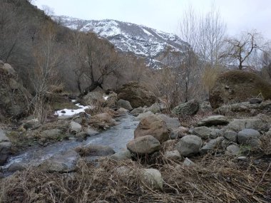 Vahşi dağ soğuk nehir