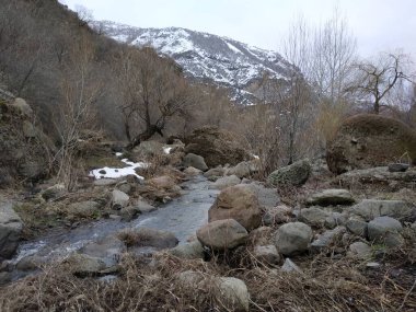Vahşi dağ soğuk nehir