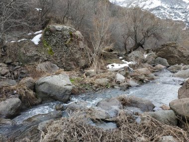 Vahşi dağ soğuk nehir, taşlar ve kayalar.