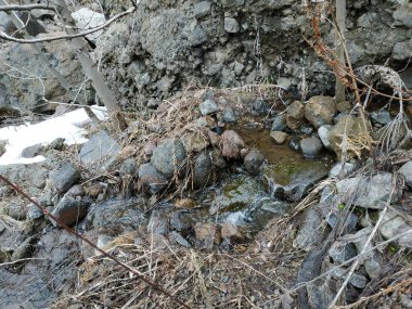Vahşi dağ soğuk nehir, taşlar ve kayalar.