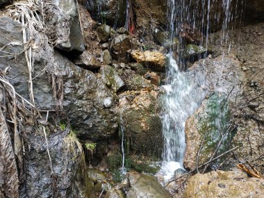 Vahşi dağ soğuk nehir, taşlar ve kayalar.