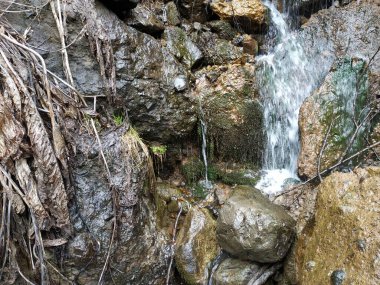 Vahşi dağ soğuk nehir, taşlar ve kayalar.