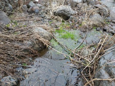 Vahşi dağ soğuk nehir, taşlar ve kayalar.