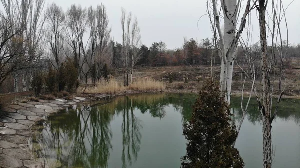 Lago Sombrio Uma Floresta — Fotografia de Stock