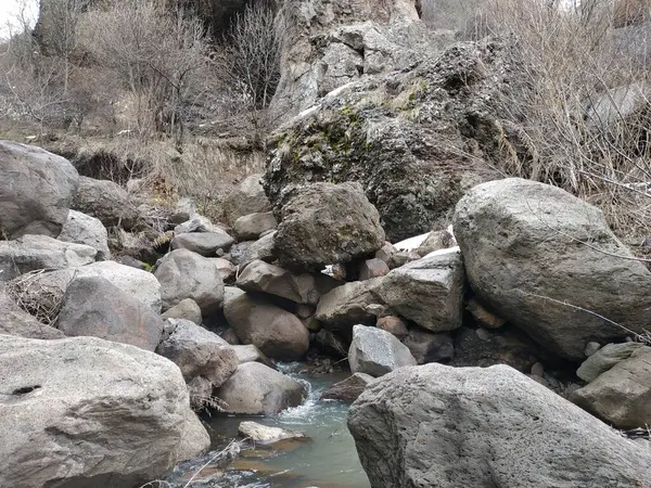 Montanha Selvagem Rio Frio — Fotografia de Stock