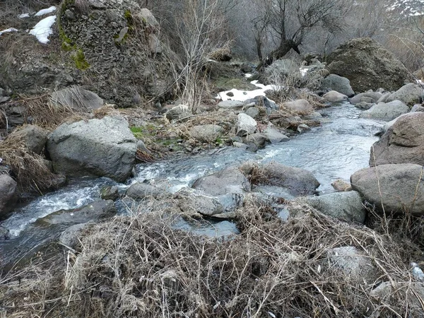 Wild Mountain Cold River Stones Rocks — Stock Photo, Image