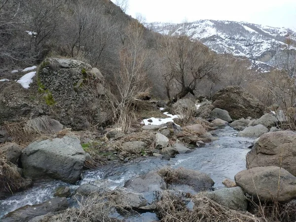 野生の山冷たい川や石や岩 — ストック写真