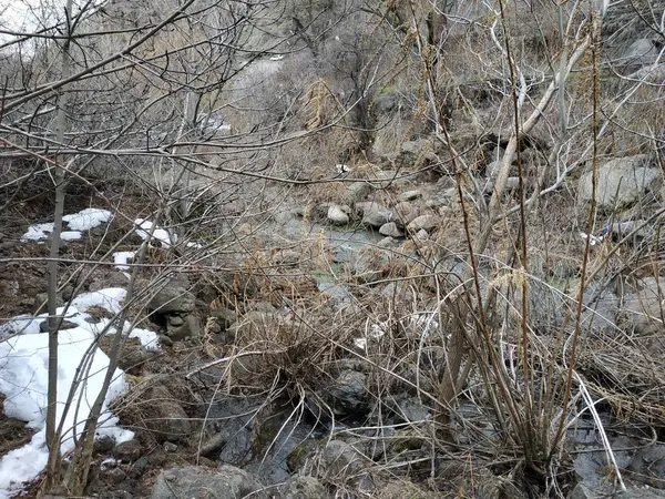 Dzika Góra Zimna Rzeka Kamienie Skały — Zdjęcie stockowe