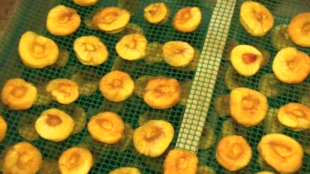 Süße Trockenfrüchte Pfirsiche — Stockvideo
