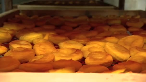 Süße Trockenfrüchte Pfirsiche — Stockvideo