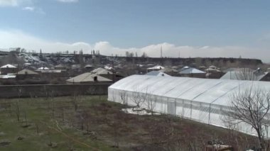 Aquaponic serasında marul yaprakları