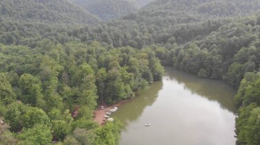 Yeşil ormandaki güzel göl