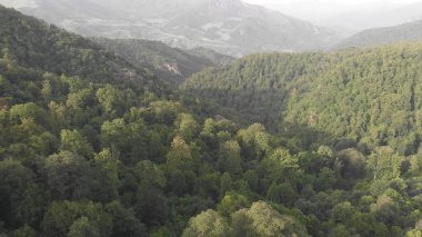 Dağlarda bir orman, yukarıdan çekilmiş
