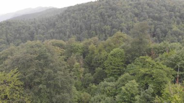 Dağlarda bir orman, yukarıdan çekilmiş